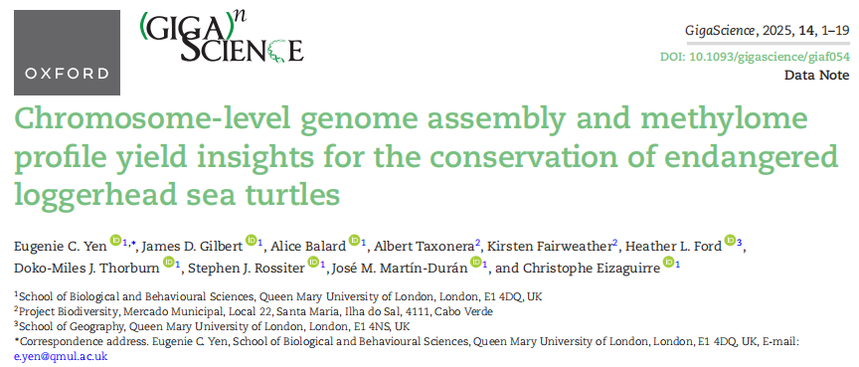 1765175970843760.png 图片8.png