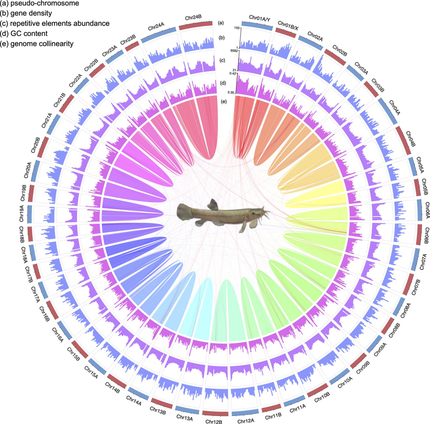 1765176010192743.png 图片11.png