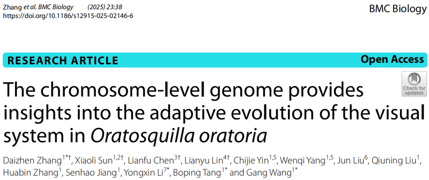 1765176022798472.png 图片12.png