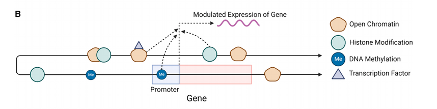 1765249230260566.png 图片2.png