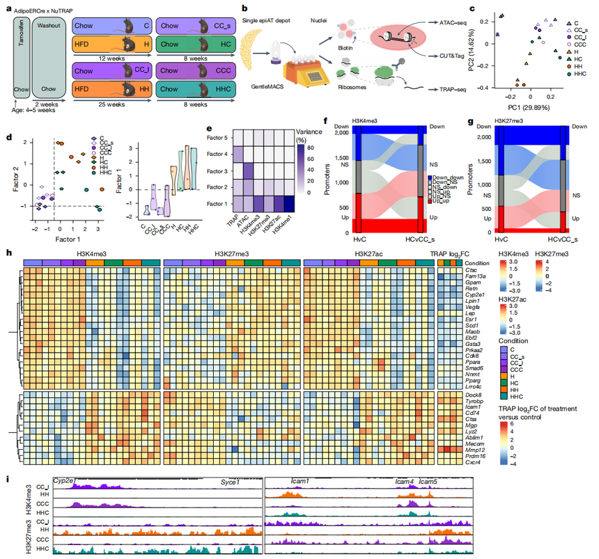 1765444436540327.png 图片3.png