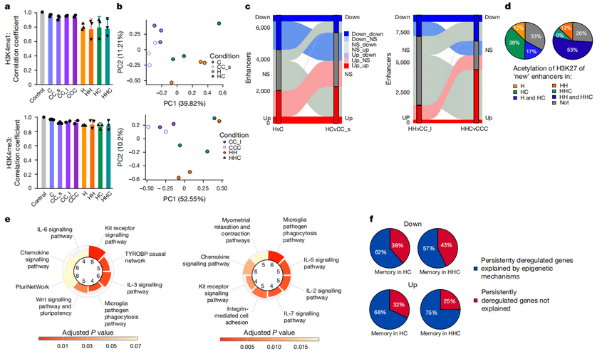 1765444501433963.png 图片4.png