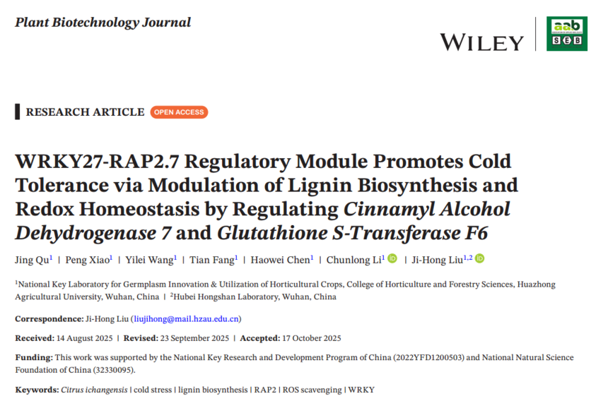 1765445097622731.png 图片1.png