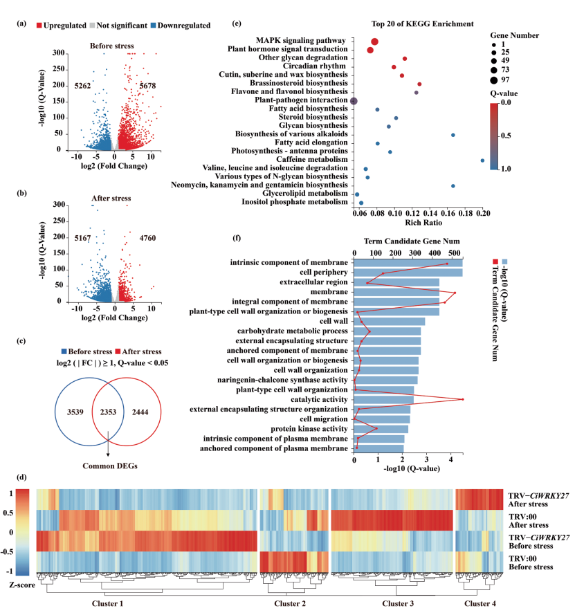 1765445122835774.png 图片3.png