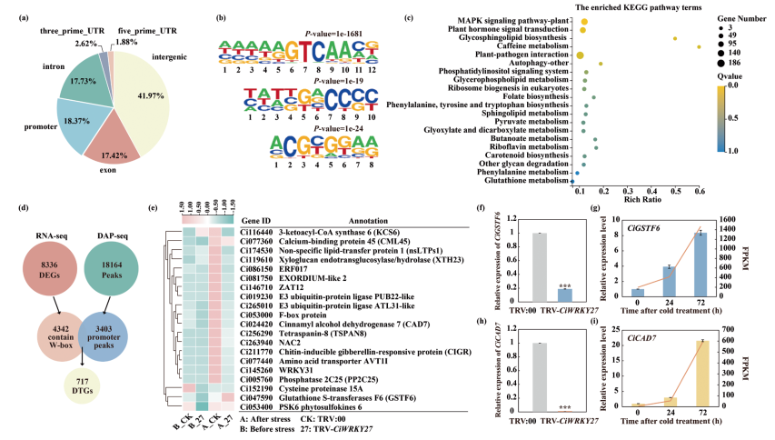 1765445132563794.png 图片4.png