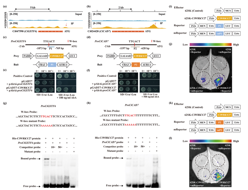 1765445145509640.png 图片5.png