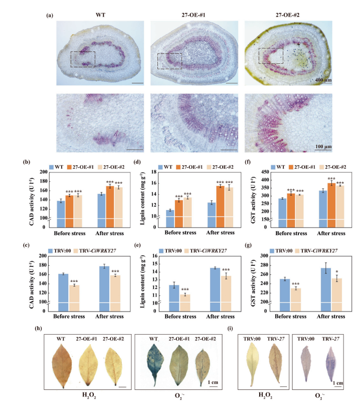 1765445172984917.png 图片6.png