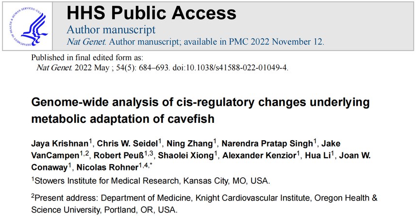 1765532721852409.png 图片3.png