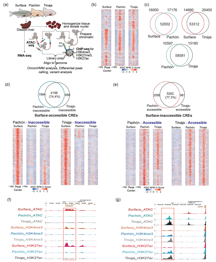 1765532732461304.png 图片4.png