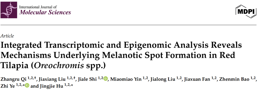 1765532741629875.png 图片5.png