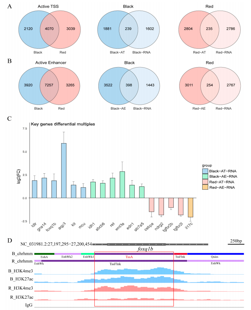 1765532752794221.png 图片6.png