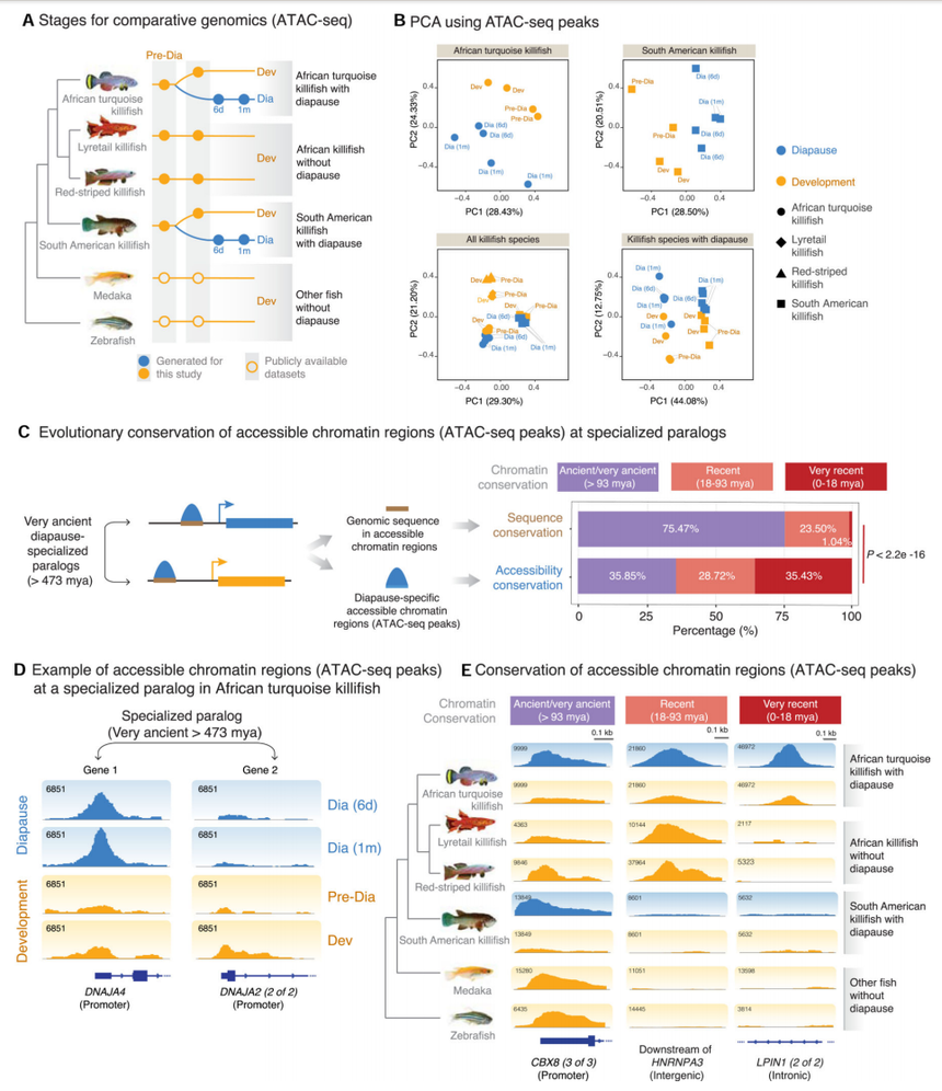 1765532785218243.png 图片8.png