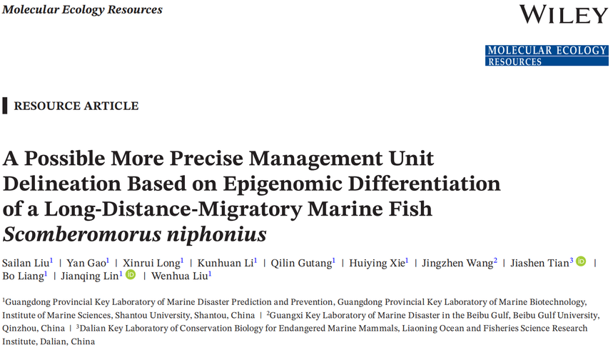 1765532795790773.png 图片9.png