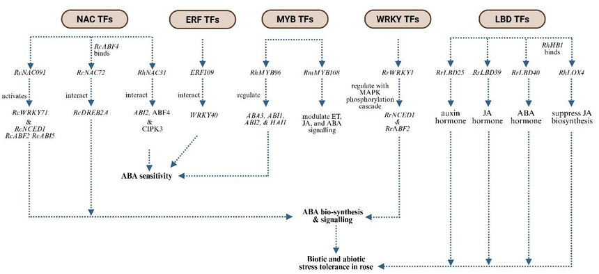 1766041884292011.png 图片7.png