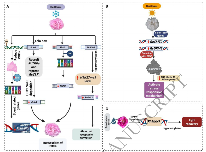 1766041995228663.png 图片9.png