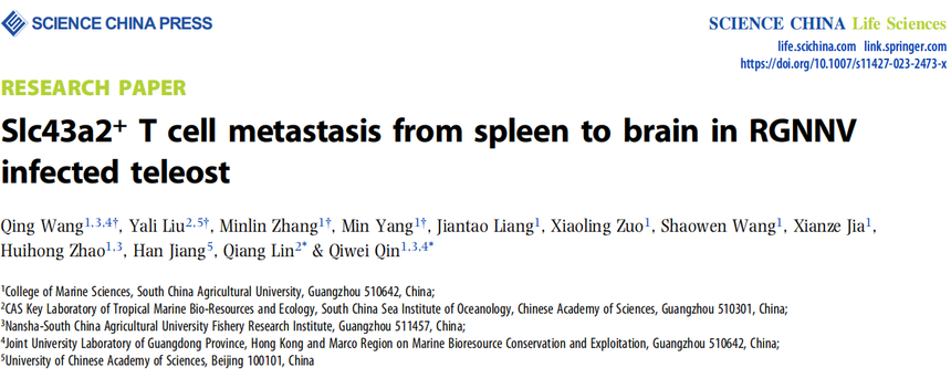 1766122779759901.png 图片1.png