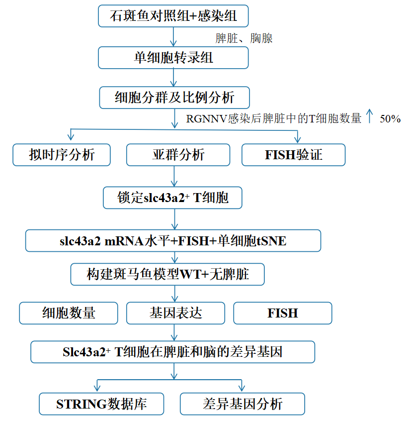 1766122796642648.png 图片2.png