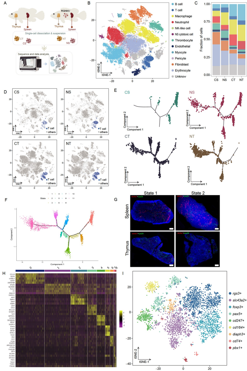 1766122814465652.png 图片3.png