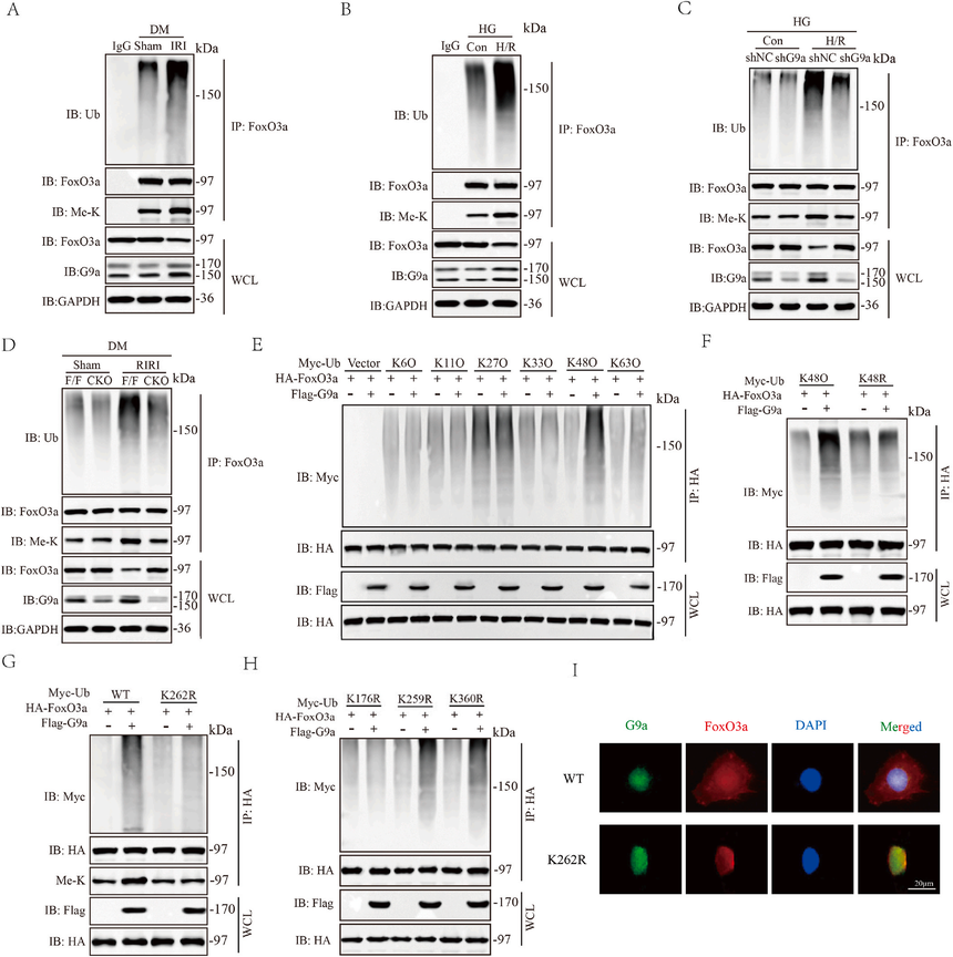 1766716900428781.png 图片6.png
