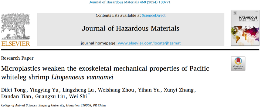 1766717558249196.png 图片1.png