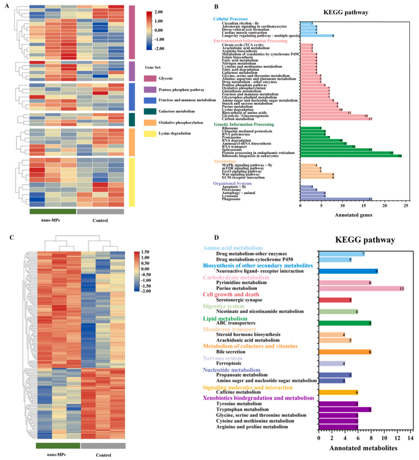 1766717574329275.png 图片2.png