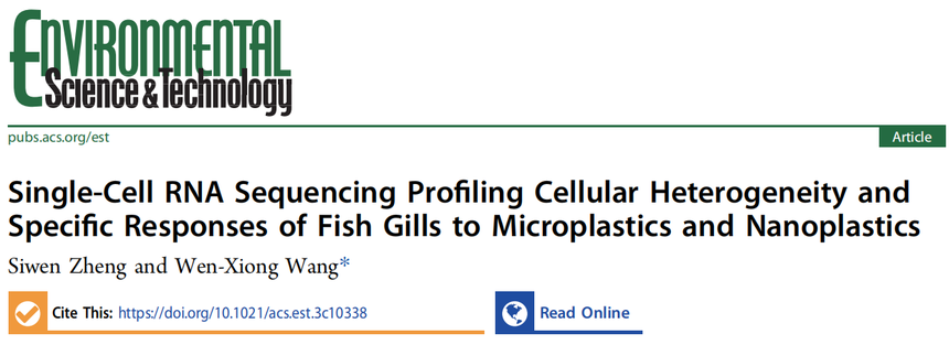 1766717586398873.png 图片3.png