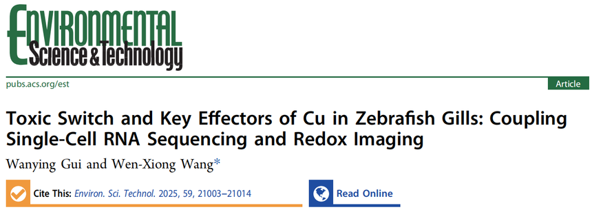 1766717624222648.png 图片5.png