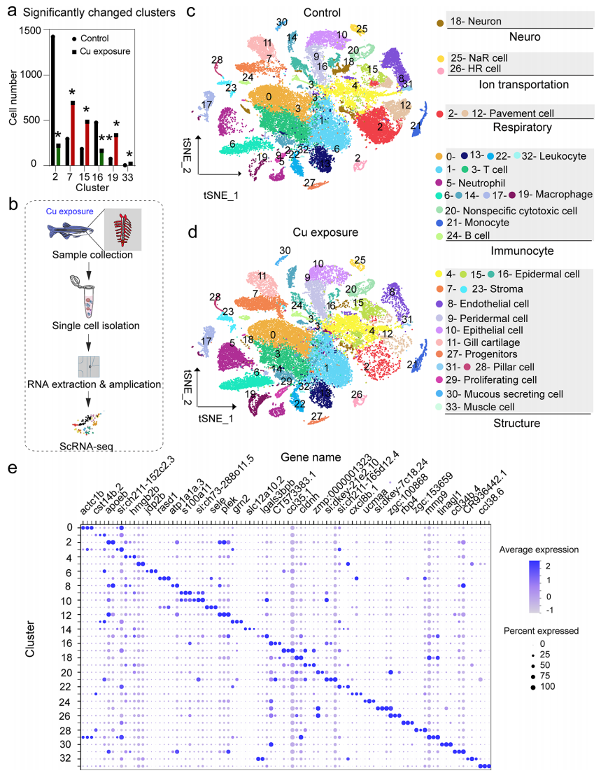 1766717636190397.png 图片6.png