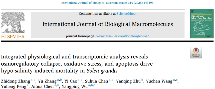 1766717648708711.png 图片7.png