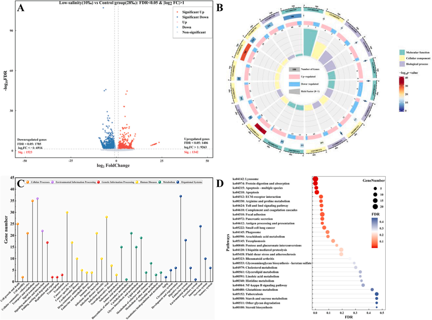 1766717661911261.png 图片8.png