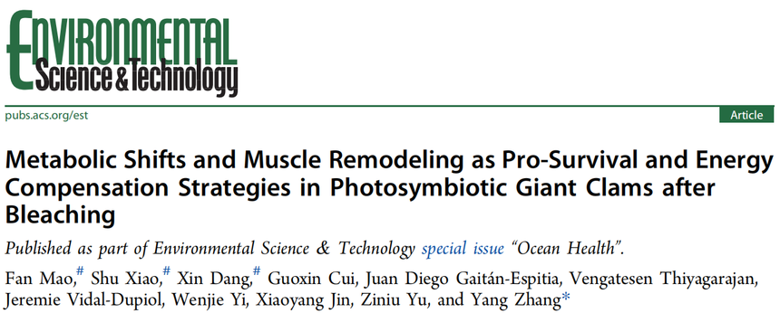 1766717671439979.png 图片9.png