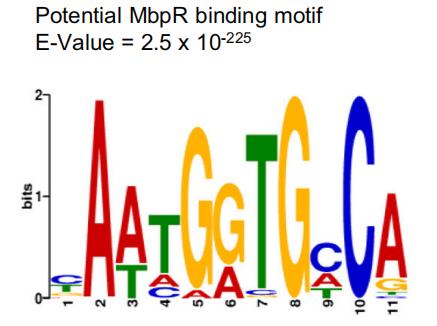 1767767489565888.png 图片1.png