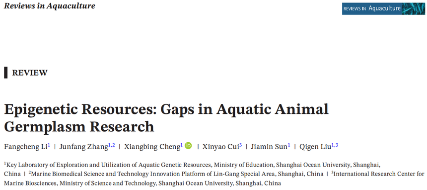 1767767978864843.png 图片1.png