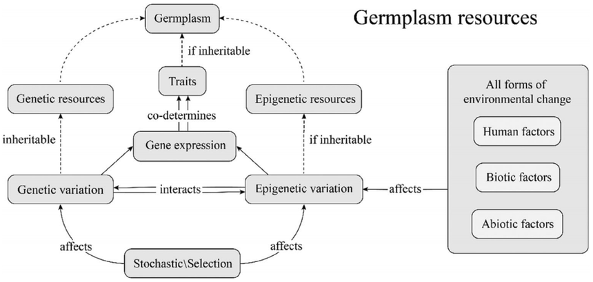 1767767996708399.png 图片2.png