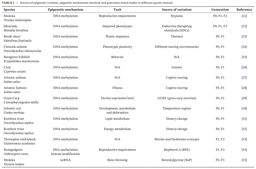 1767768034597735.png 图片3.png