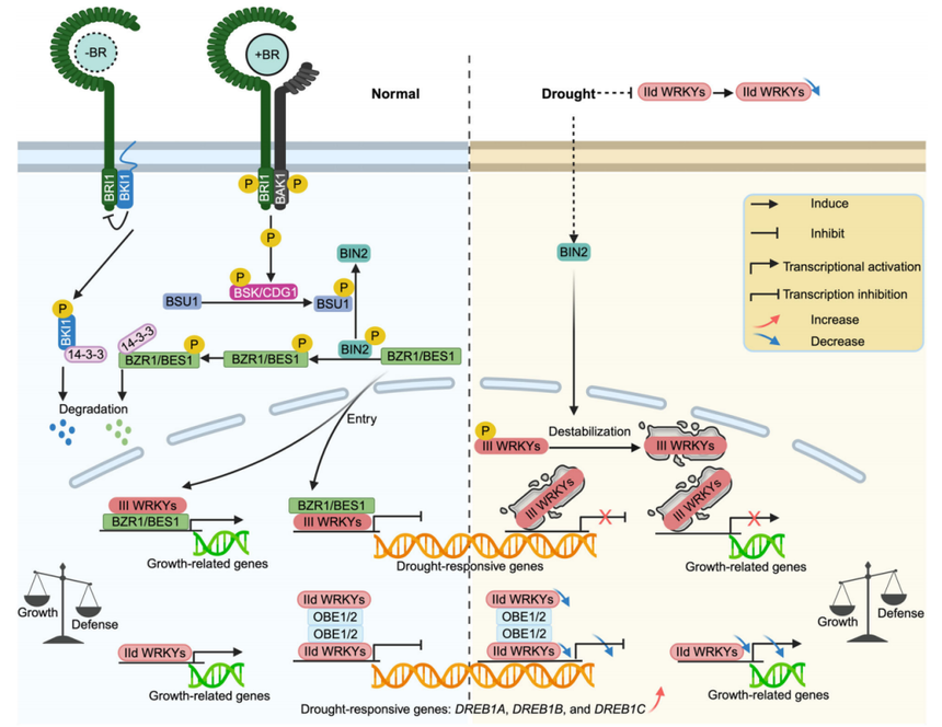 1767768368987072.png 图片2.png