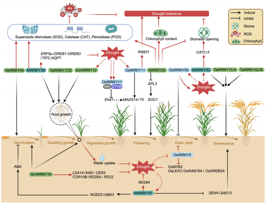 1767768394545665.png 图片3.png