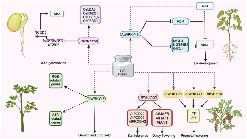 1767768424492890.png 图片4.png