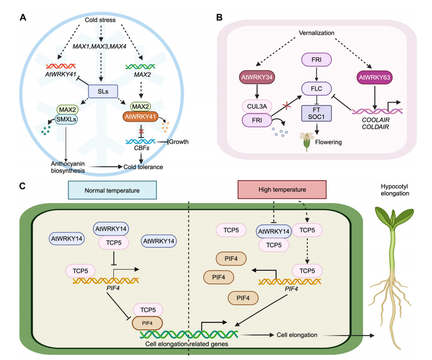 1767768454545378.png 图片5.png