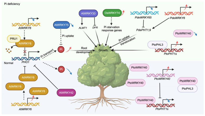 1767768468291561.png 图片6.png