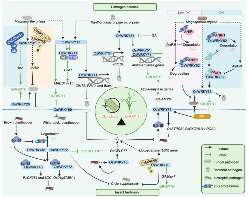 1767768491876594.png 图片7.png