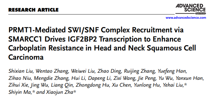 1767769193951091.png 图片2.png