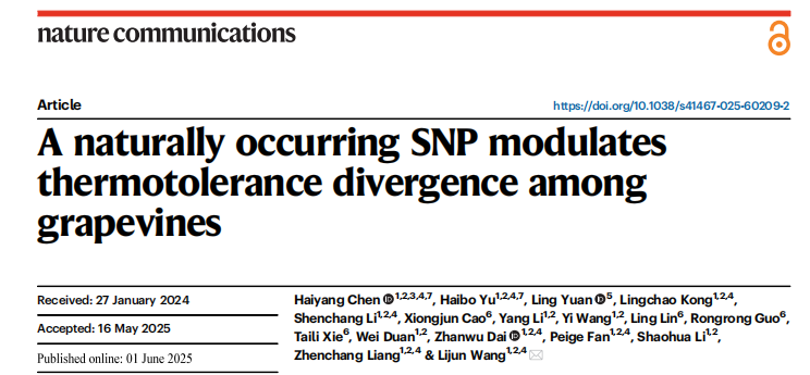 1767769204527676.png 图片3.png