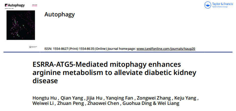 1767769356266362.png 图片5.png