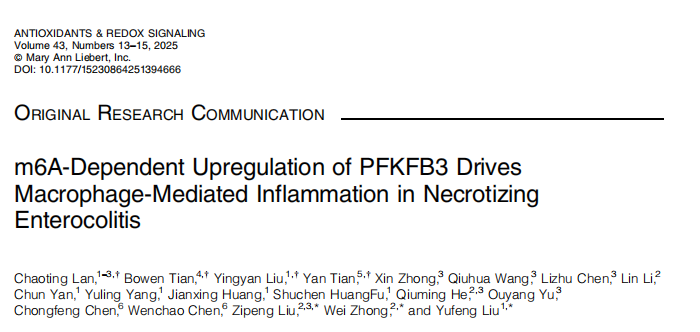 1767769379501701.png 图片6.png