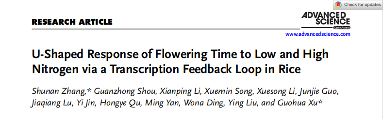 1767769413844398.png 图片9.png