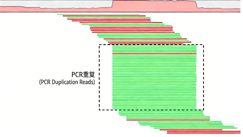 1767770133312282.png 图片4.png