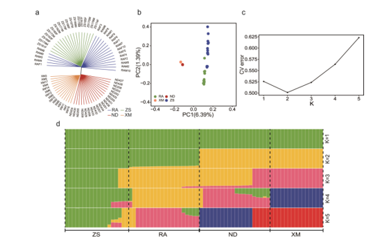 1767770164372099.png 图片7.png
