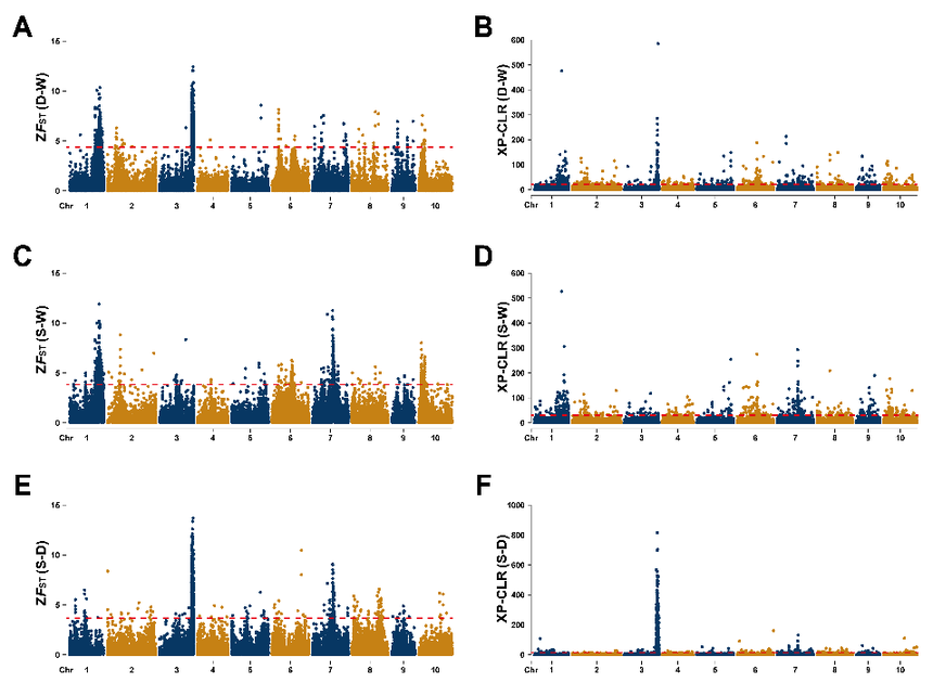 1767770176535661.png 图片8.png