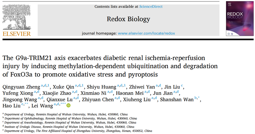 1767770682871124.png 图片1.png